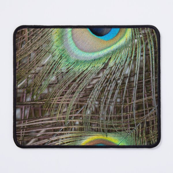 Item preview, Peacock Feather Macro Detail Wildlife Photography Colorful Nature Print designed and sold by WildFrameNature.
