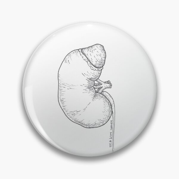 Item preview, Kidney Anatomy Ink Drawing designed and sold by Studio Hromi LLC.