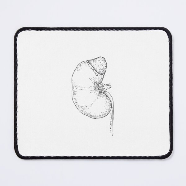Item preview, Kidney Anatomy Ink Drawing designed and sold by Studio Hromi LLC.