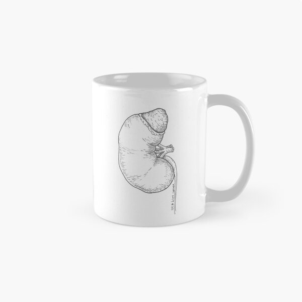 Item preview, Kidney Anatomy Ink Drawing designed and sold by Studio Hromi LLC.
