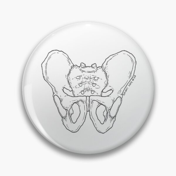 Item preview, Pelvis Anatomy Ink Drawing designed and sold by Studio Hromi LLC.