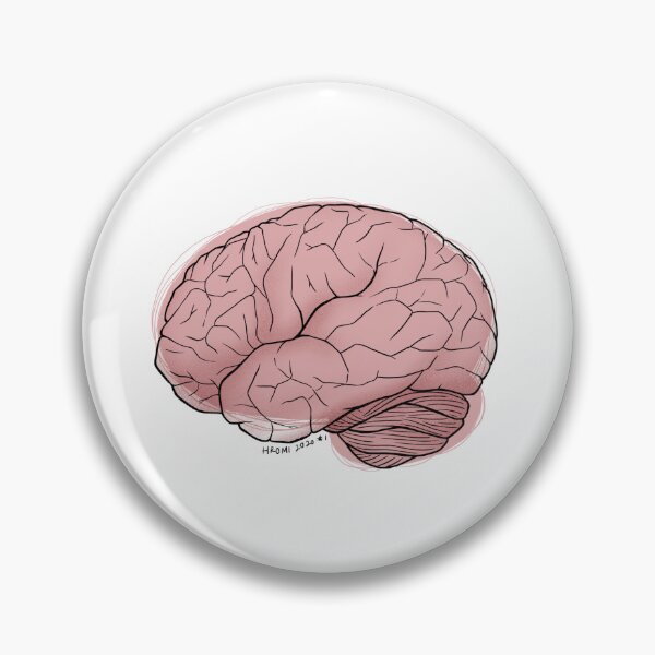 Item preview, Brain Anatomy Line Drawing designed and sold by Studio Hromi LLC.
