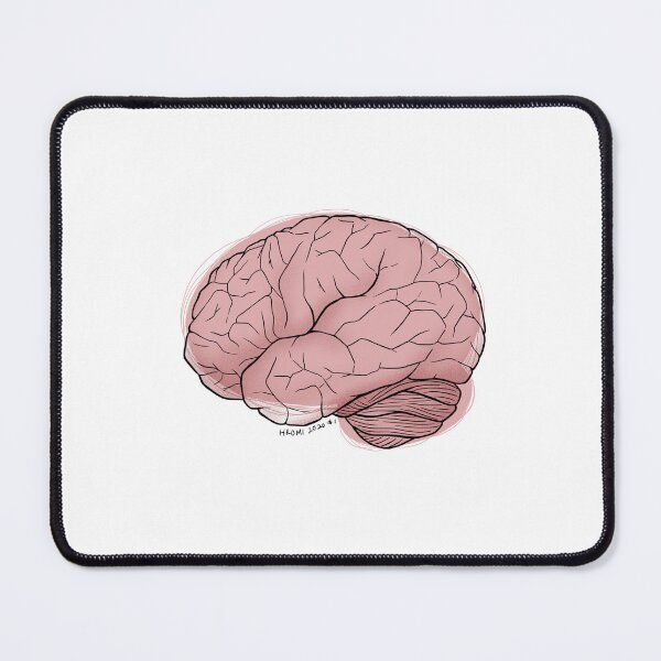 Item preview, Brain Anatomy Line Drawing designed and sold by Studio Hromi LLC.