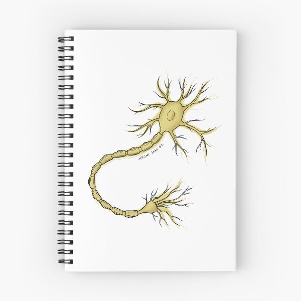 Item preview, Neuron Anatomy Line Drawing designed and sold by Studio Hromi LLC.