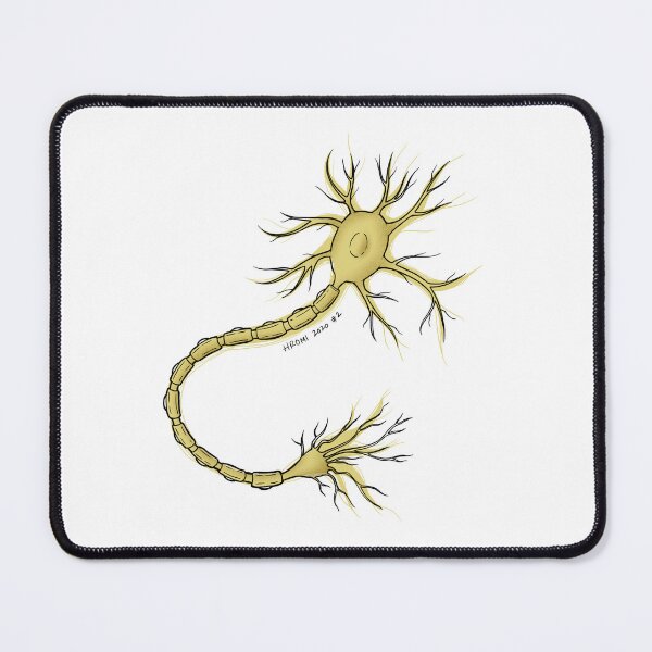 Item preview, Neuron Anatomy Line Drawing designed and sold by Studio Hromi LLC.