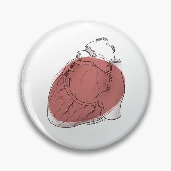 Item preview, Heart Anatomy Line Drawing designed and sold by Studio Hromi LLC.