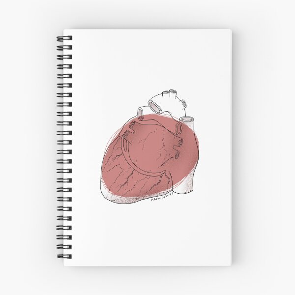 Item preview, Heart Anatomy Line Drawing designed and sold by Studio Hromi LLC.