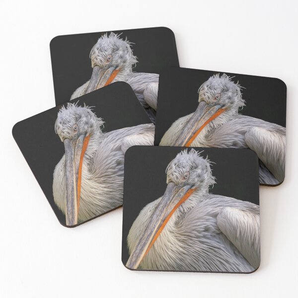 Item preview, Dalmatian pelican in close-up portrait – a detailed look at wildlife designed and sold by MS.photo.