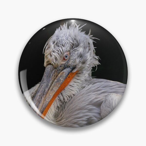 Item preview, Dalmatian pelican in close-up portrait – a detailed look at wildlife designed and sold by MS.photo.