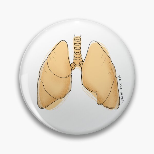 Item preview, Lungs Anatomy Line Drawing designed and sold by Studio Hromi LLC.