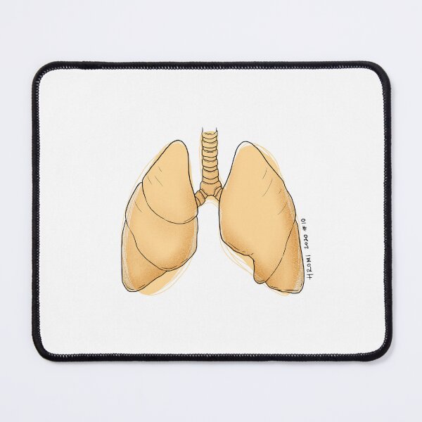 Item preview, Lungs Anatomy Line Drawing designed and sold by Studio Hromi LLC.