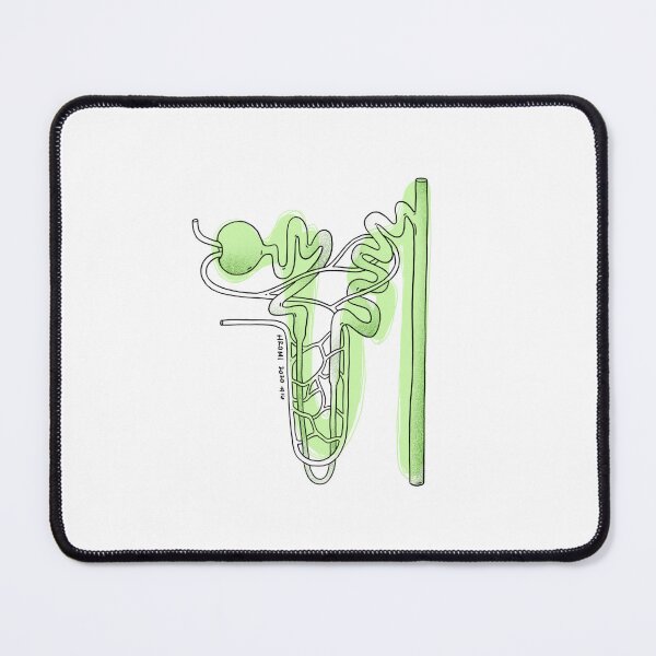 Item preview, Nephron Anatomy Line Drawing designed and sold by Studio Hromi LLC.