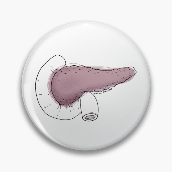 Item preview, Pancreas Anatomy Line Drawing designed and sold by Studio Hromi LLC.
