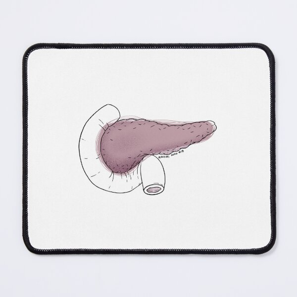 Item preview, Pancreas Anatomy Line Drawing designed and sold by Studio Hromi LLC.