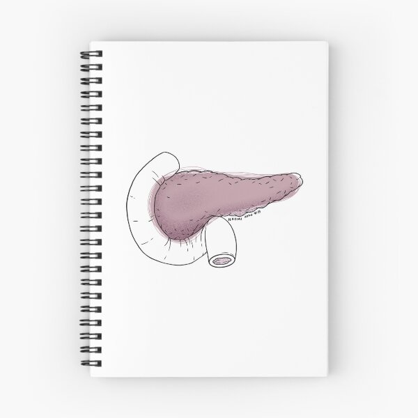 Item preview, Pancreas Anatomy Line Drawing designed and sold by Studio Hromi LLC.