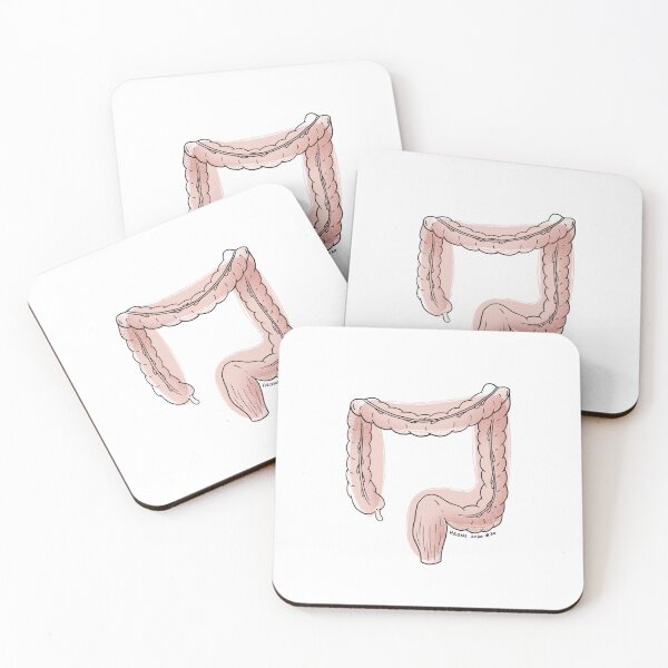 Item preview, Large Intestine Anatomy Line Drawing designed and sold by Studio Hromi LLC.