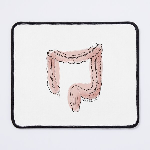 Item preview, Large Intestine Anatomy Line Drawing designed and sold by Studio Hromi LLC.
