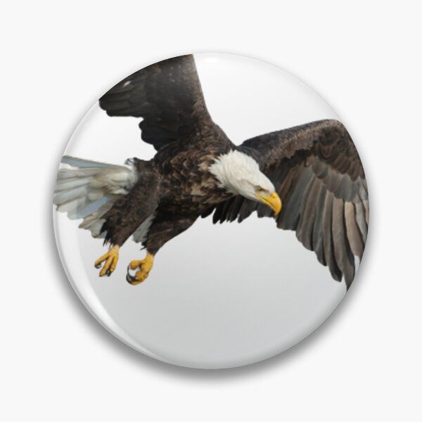 Item preview, Bald Eagle Flying designed and sold by Yaa2.