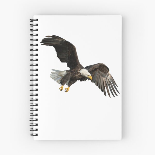Item preview, Bald Eagle Flying designed and sold by Yaa2.