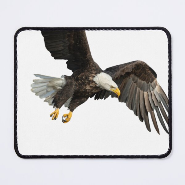 Item preview, Bald Eagle Flying designed and sold by Yaa2.
