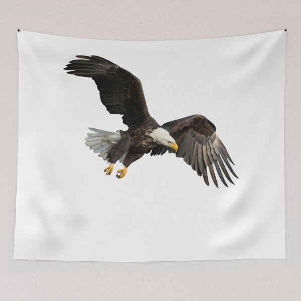 Item preview, Bald Eagle Flying designed and sold by Yaa2.