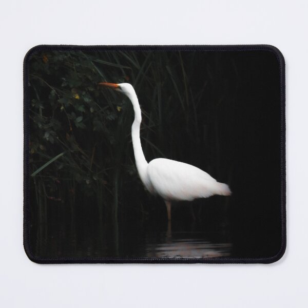 Item preview, Ghost of the Reeds — Great Egret Fine Art Print designed and sold by GrowNest.
