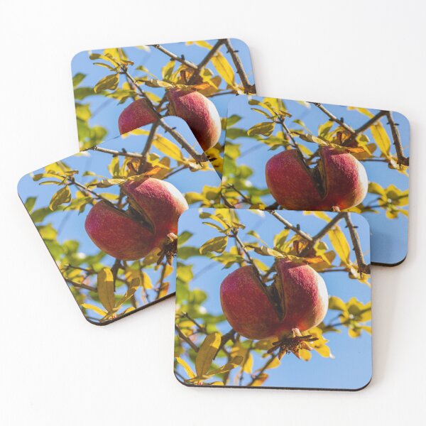Item preview, Ripe Pomegranate Hanging on Tree Branch With Split Skin Against Blue Sky in Autumn designed and sold by Nmallia.