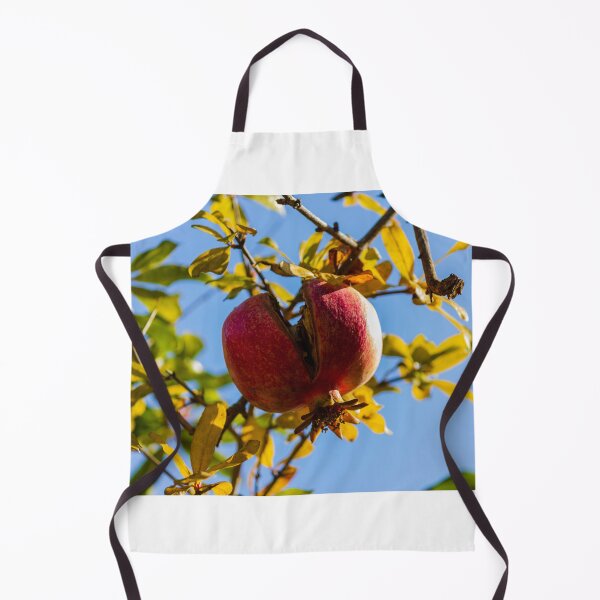 Item preview, Ripe Pomegranate Hanging on Tree Branch With Split Skin Against Blue Sky in Autumn designed and sold by Nmallia.