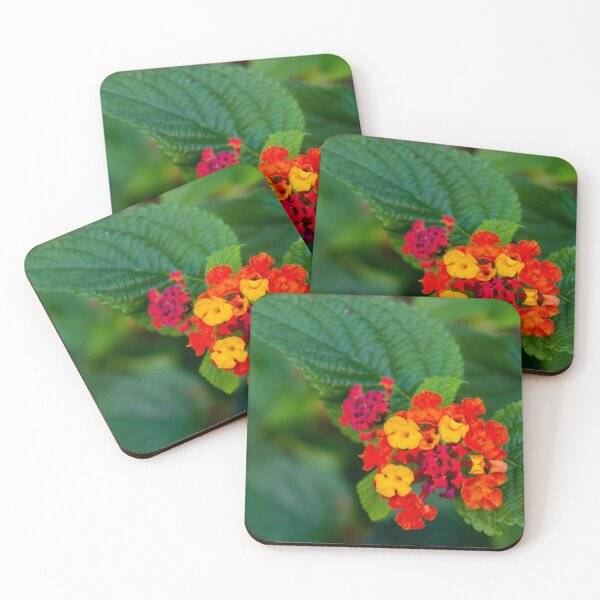 Item preview, Colorful Lantana Flower Cluster With Orange and Yellow Blossoms Against Green Leaves Close-Up designed and sold by Nmallia.