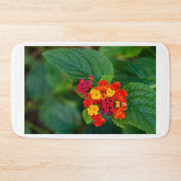 Item preview, Colorful Lantana Flower Cluster With Orange and Yellow Blossoms Against Green Leaves Close-Up designed and sold by Nmallia.
