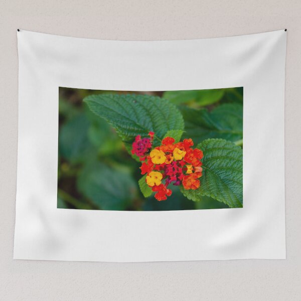 Item preview, Colorful Lantana Flower Cluster With Orange and Yellow Blossoms Against Green Leaves Close-Up designed and sold by Nmallia.