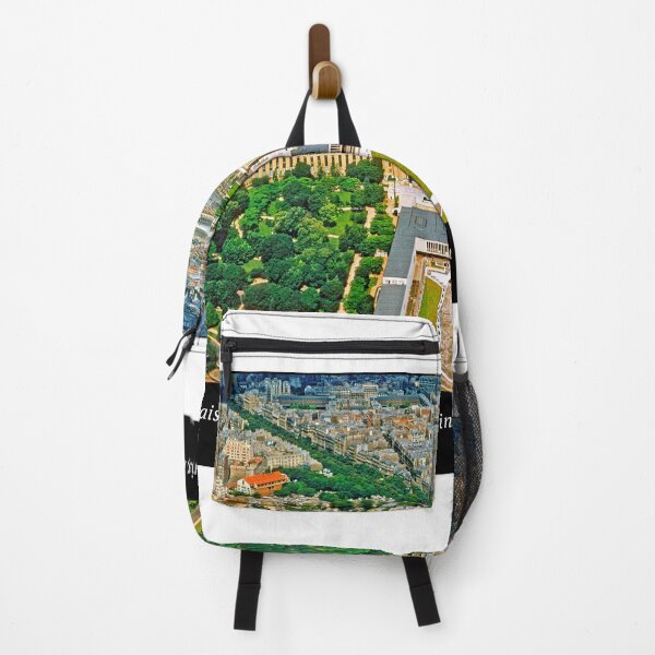 Item preview, Jardin du Trocadero, Wings of Palais de Chaillot, Paris France, 1959 designed and sold by AMacGPhilly.