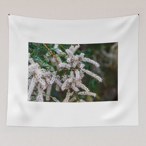 Item preview, Delicate White-Pink Blossom Clusters On Thin Branches, Close-Up Nature Macro Floral Background Texture designed and sold by Nmallia.