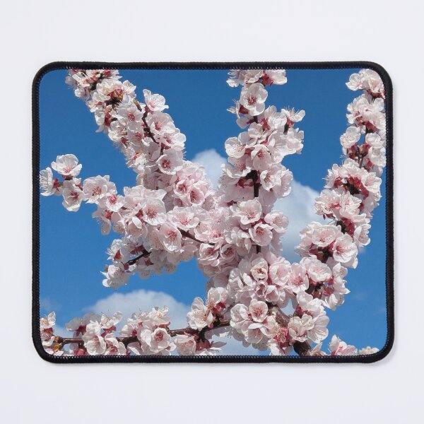 Item preview, Spring blossoms under a blue sky designed and sold by Wanderlicht.