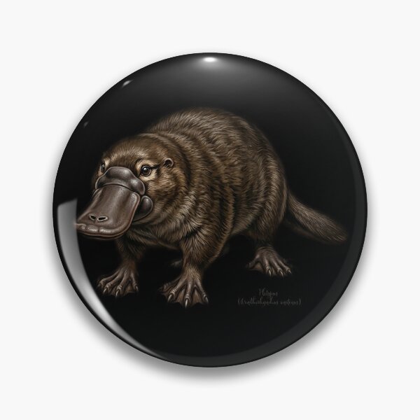 Item preview, Vintage Platypus Scientific Illustration - Amazing Ornithorhynchus anatinus designed and sold by FreiherrPK.