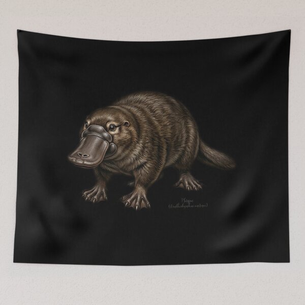 Item preview, Vintage Platypus Scientific Illustration - Amazing Ornithorhynchus anatinus designed and sold by FreiherrPK.