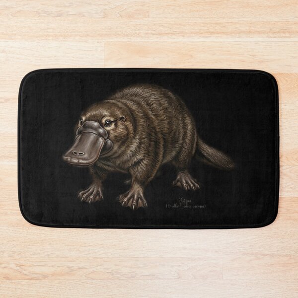 Item preview, Vintage Platypus Scientific Illustration - Amazing Ornithorhynchus anatinus designed and sold by FreiherrPK.