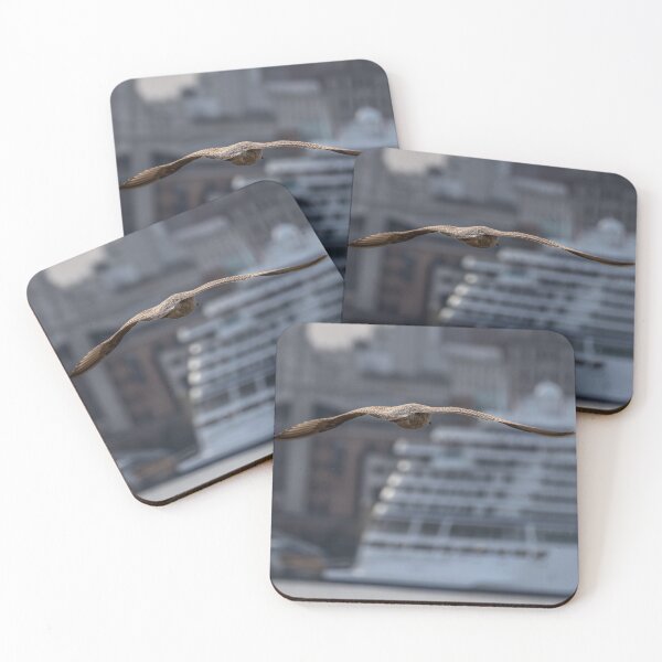 Item preview, Gull over the Mersey designed and sold by GazHPhotography.