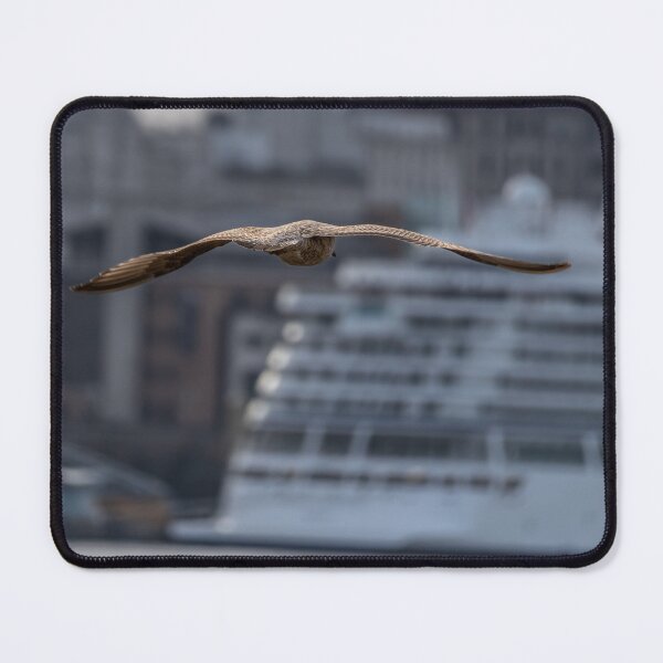 Item preview, Gull over the Mersey designed and sold by GazHPhotography.