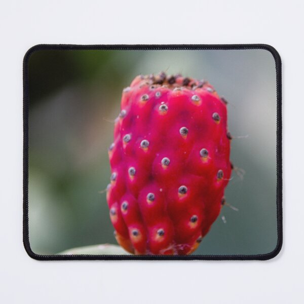 Item preview, Prickly Pear Cactus Fruit Close-Up Photo Showing Red Opuntia Pad and Textured Surface designed and sold by Nmallia.