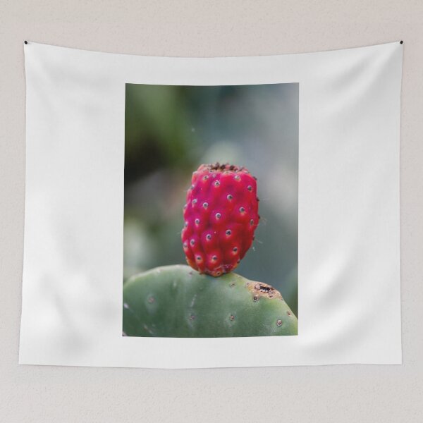 Item preview, Prickly Pear Cactus Fruit Close-Up Photo Showing Red Opuntia Pad and Textured Surface designed and sold by Nmallia.