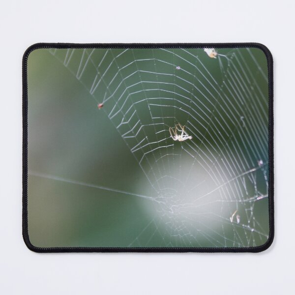 Item preview, Delicate Spider Web With Small Spiders And Soft Green Bokeh Background, Close-Up Nature Macro designed and sold by Nmallia.