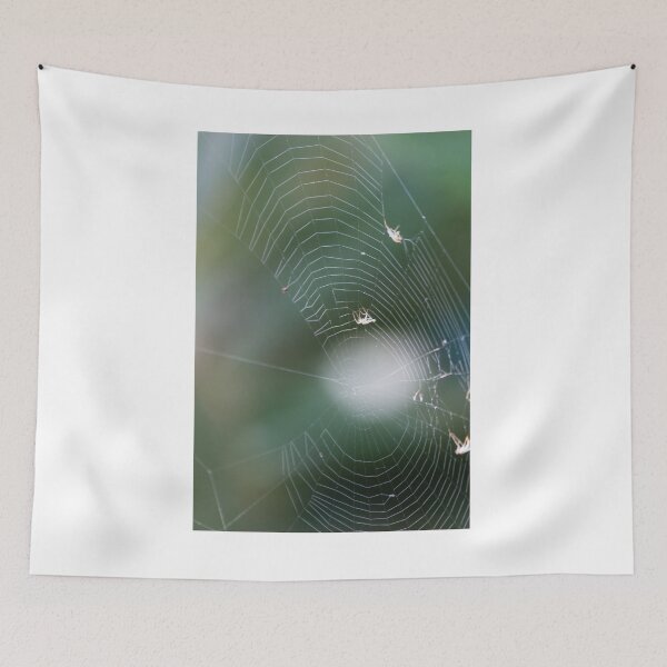 Item preview, Delicate Spider Web With Small Spiders And Soft Green Bokeh Background, Close-Up Nature Macro designed and sold by Nmallia.
