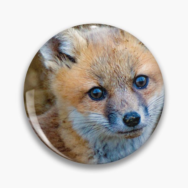 Item preview,  Young Fox Looks Out from a Forest Den designed and sold by AMacGPhilly.