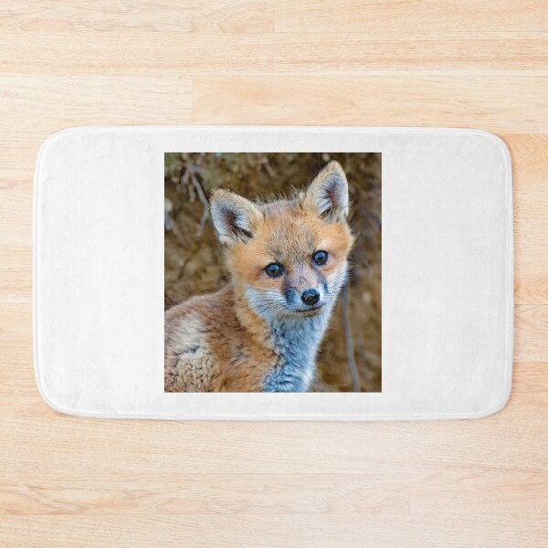 Item preview,  Young Fox Looks Out from a Forest Den designed and sold by AMacGPhilly.