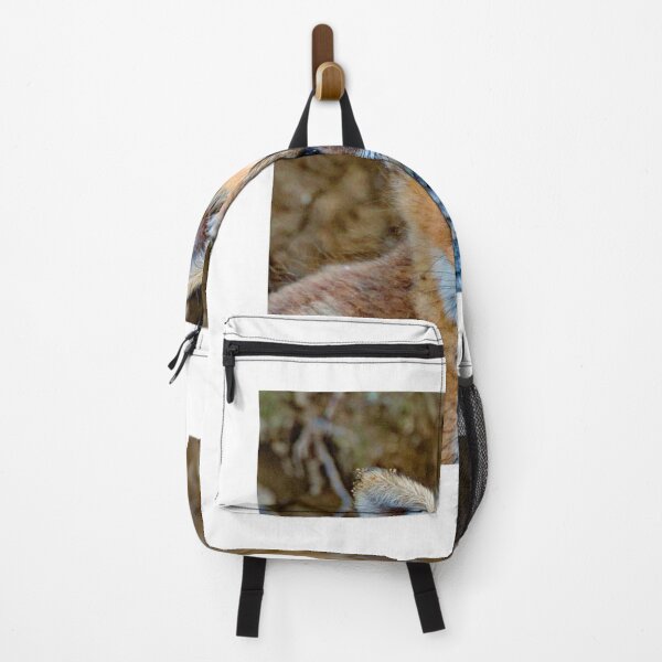 Item preview,  Young Fox Looks Out from a Forest Den designed and sold by AMacGPhilly.