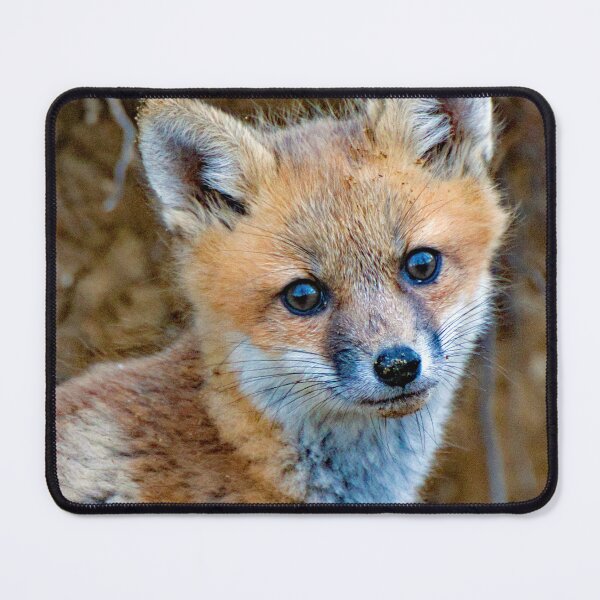 Item preview, Young Fox Looks Out from a Forest Den designed and sold by AMacGPhilly.
