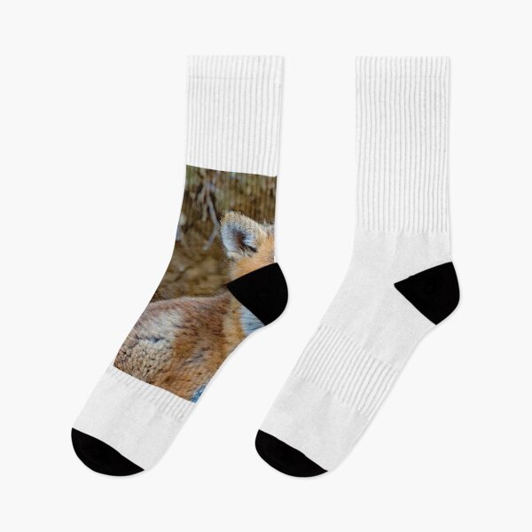 Item preview,  Young Fox Looks Out from a Forest Den designed and sold by AMacGPhilly.