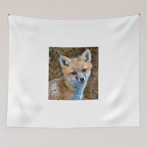 Item preview,  Young Fox Looks Out from a Forest Den designed and sold by AMacGPhilly.