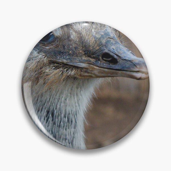 Item preview, Close-Up Portrait Of An Ostrich Head And Neck Showing Detailed Feathers And Expression designed and sold by Nmallia.